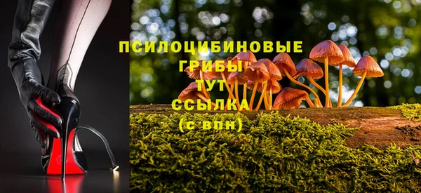 марки nbome Белокуриха