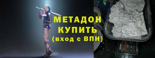 прущие грибы Чита