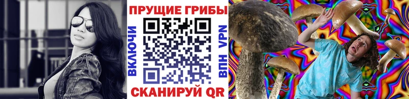 продажа наркотиков  Болотное  Псилоцибиновые грибы мухоморы 