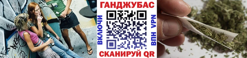 дарнет шоп  Болотное  Бошки Шишки план 